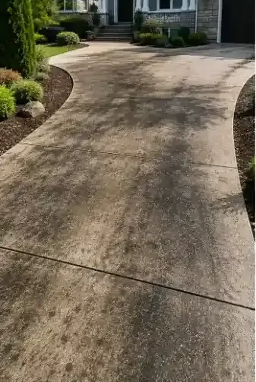 Nocatee driveway with buildup before pressure washing