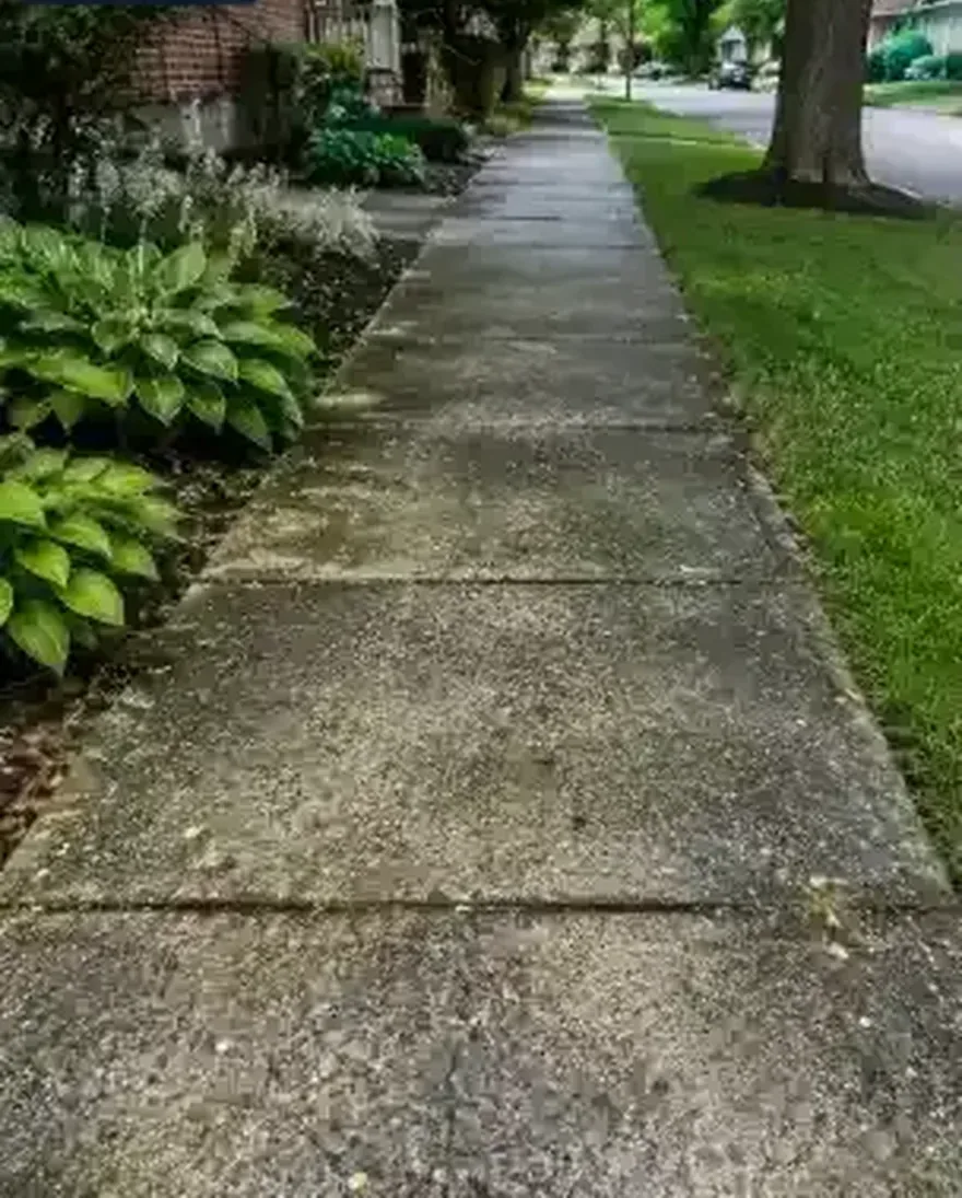 Dirty walkway before pressure washing Jacksonville FL