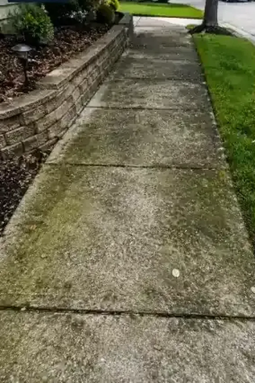 Dirty walkway before pressure washing Jacksonville FL