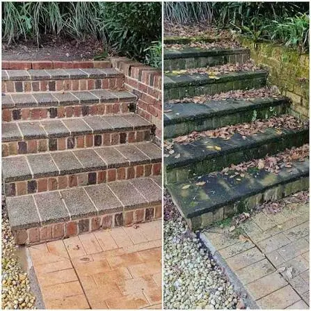 Visible organic buildup and exterior grime